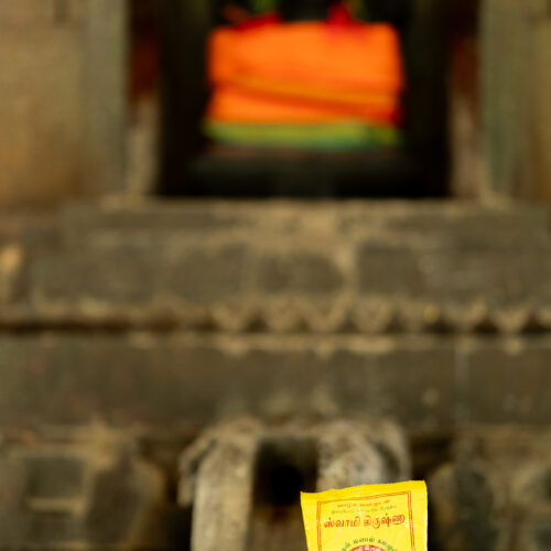 Swamy Krishna Vibuthi